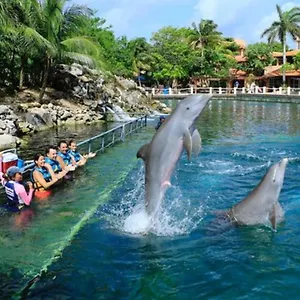 Apartamento Increible Estudio En Puerto Aventuras, Con Alberca # 201, Puerto Aventuras
